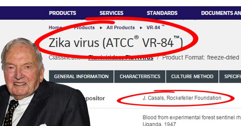 Conspiracy Theorists Think Zika Is a Biological Weapon