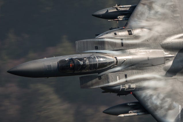 Amazing close-up photos capture war planes and birds' majesty in motion