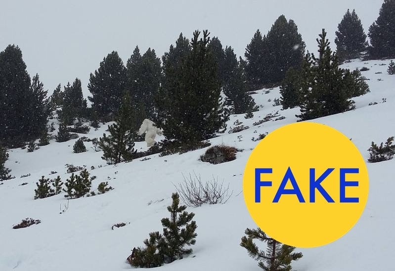 9 More Viral Photos That Are Completely Fake