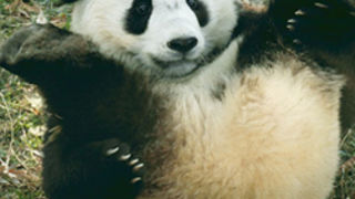 Smell You Later… Forever