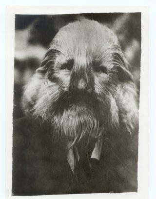 Glamour shots of carnival "freaks" of the 1800s were oddly touching
