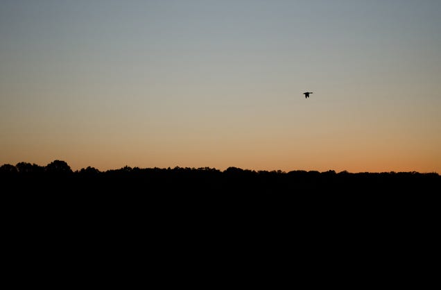 Shooting Challenge: Freedom Gallery 2