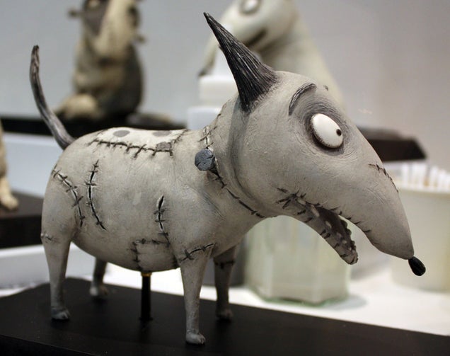 Tim Burton shows his childhood scars in Frankenweenie