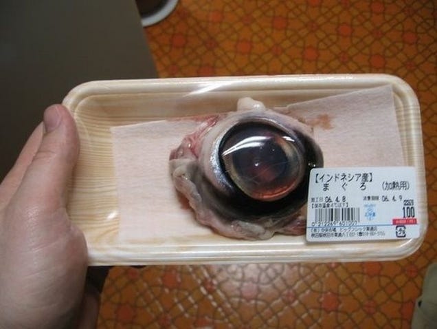 The Most Weird Food Around The World [Images Inside] 1946kp0uvb7s1jpg