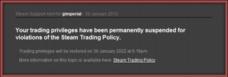 Do We Own Our Steam Games?
