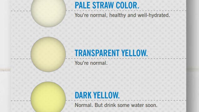 what-the-color-of-your-pee-says-about-your-health