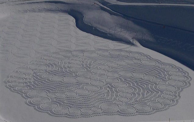 Crop circles found in the snow