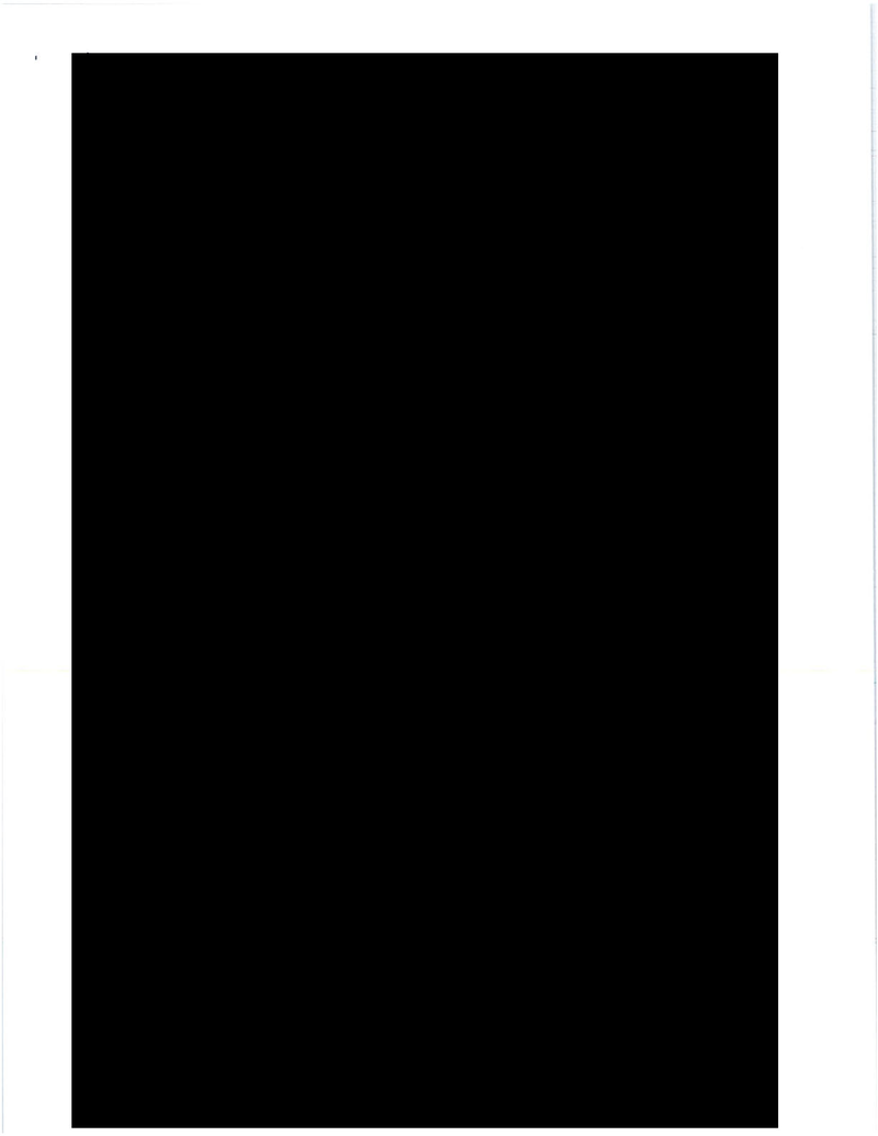 What Do You Think Is in These 73 Straight Pages of Fully Redacted Emails?