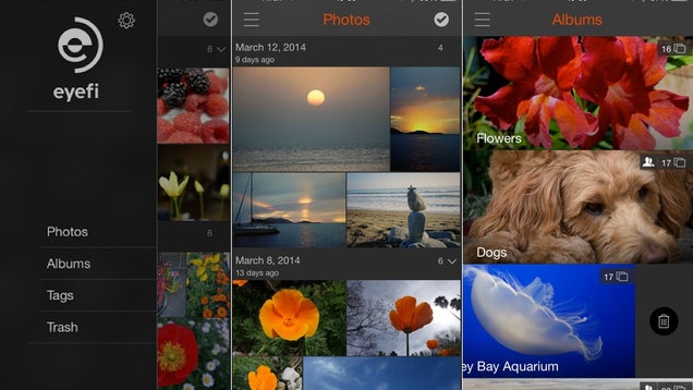 ​Eyefi Cloud Syncs Photos From Your Camera to the Internet in a Flash