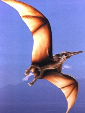 Were Pterodactyls Too Heavy to Fly?
