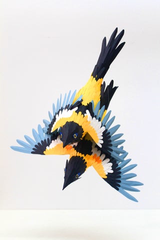 These lovely paper birds will make you feel at peace with the world