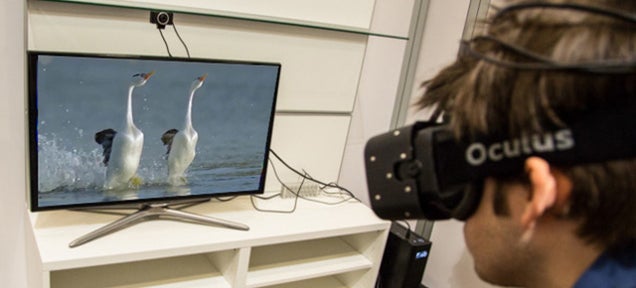 Attenborough's Next Amazing Nature Documentary Will Play on Oculus Rift