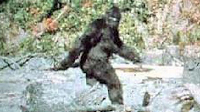 The Utterly Unsurprising Origins Of Bigfoot's DNA Samples