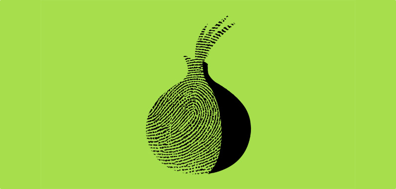 Un programador español descubre cómo reconocer a alguien en Tor: con el movimiento del ratón