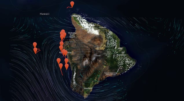 Watch As This Map Tracks the Whales Swimming Around Hawaii