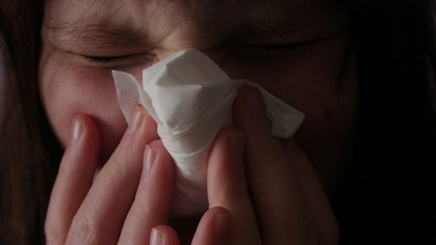 How to Most Effectively Battle the Common Cold