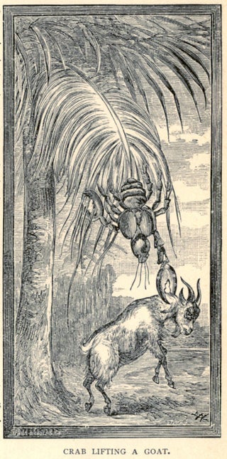 This gruesome 1889 biology book outlined the many ways animals will kill us
