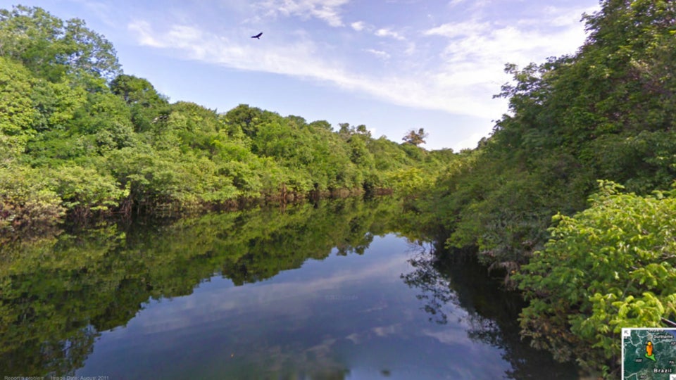 Google Street View is now available for the Amazon rainforest