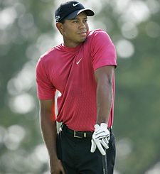 Tiger steroids pictures