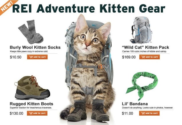 The Very Best April Fools Jokes from 2014, Starring Adventure Kitty!