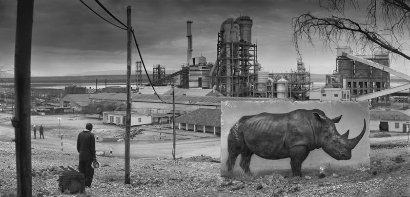 Harrowing Photographs Depict East Africa's Dystopian Future