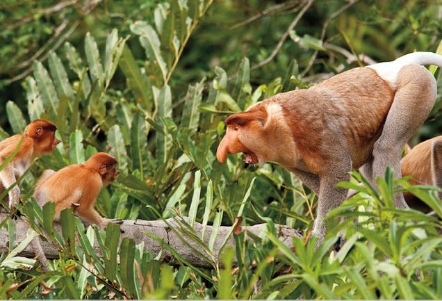 Nature Photos That Will Rock Your World