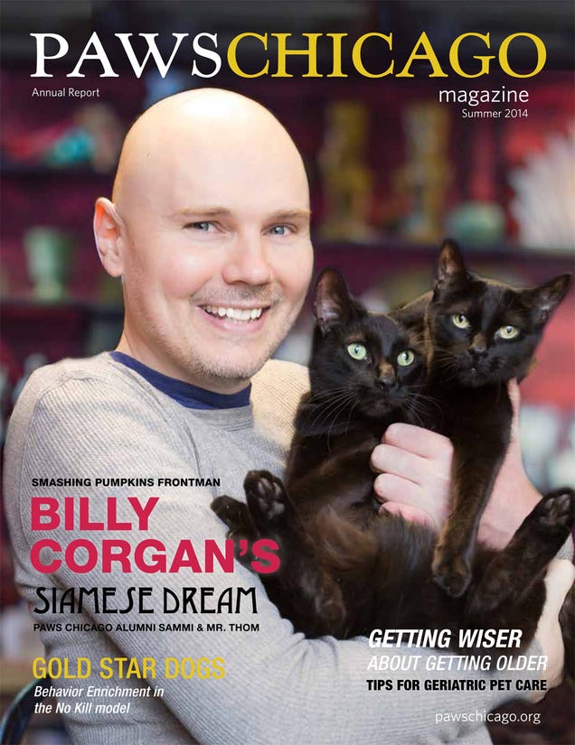 Behold Billy Corgan on the Cover of PAWS Chicago