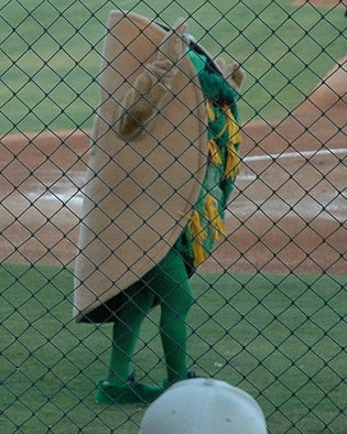 It's Over: Minor League Baseball Gives One Candidate The Nod