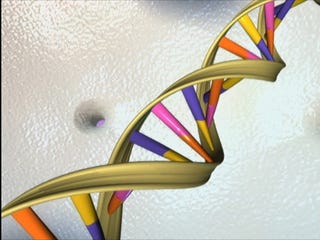 Does Our DNA Carry the Memories of Our Ancestors?