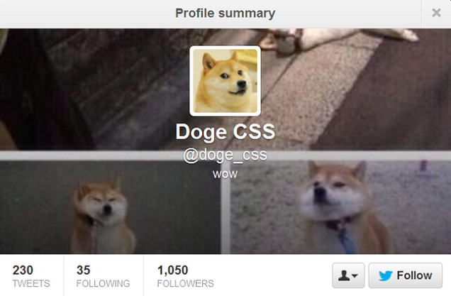 Top 10 Twitter Doges Much Followed