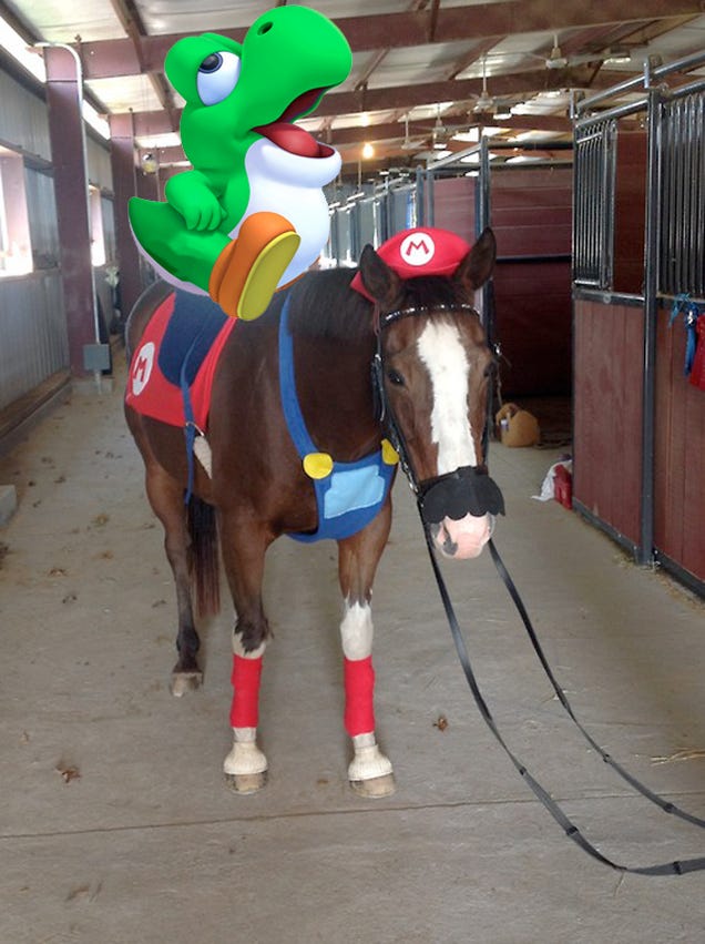 Kotaku 'Shop Contest: Mario Horse: The Winners