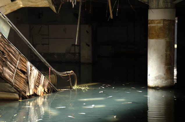 These Abandoned Malls Would Be Awesome Post-Apocalyptic Film Locations
