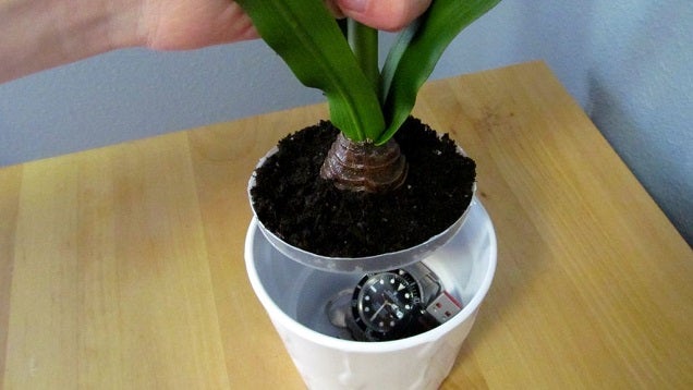 Build a Hidden Compartment in a Fake Potted Plant to Hide Valuables