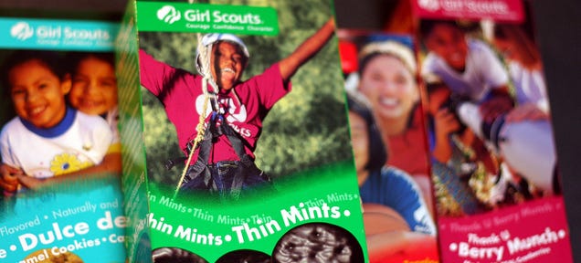 Girls Scouts Are Now Selling Cookies Online