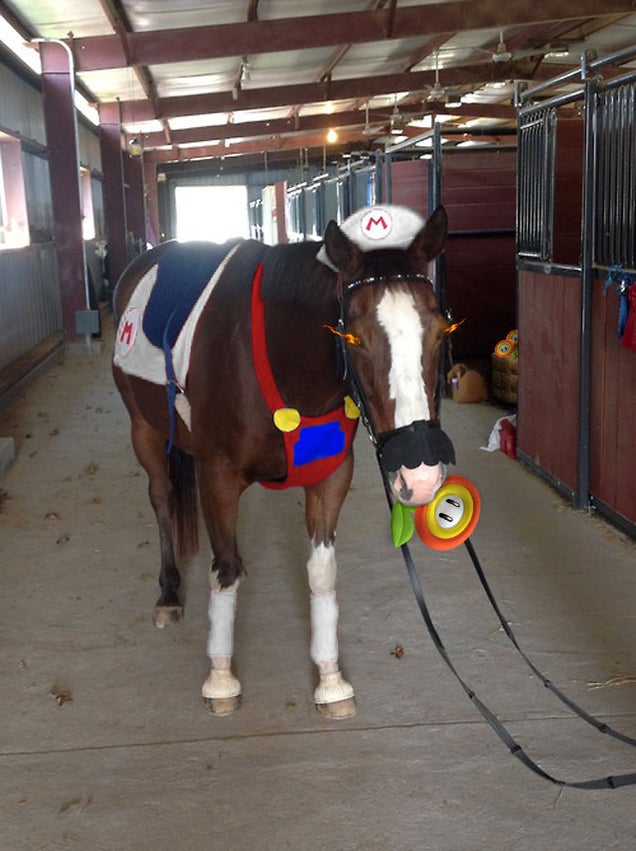 Kotaku 'Shop Contest: Mario Horse: The Winners