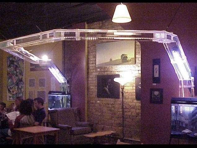 Fish Bridge Connects Two Aquariums; if Only Fish Were Smart Enough to Use it