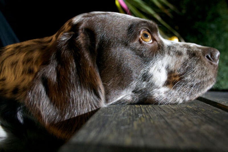 The Wrong Way to Plan for the Future