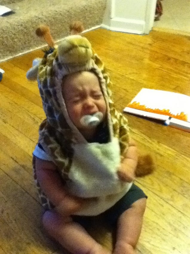 The Many Reasons This Guy's Son Is Crying Are All Guaranteed to Cheer You Up