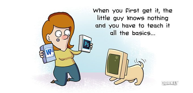 How Owning A PC Is Kind of Like Owning A Dog