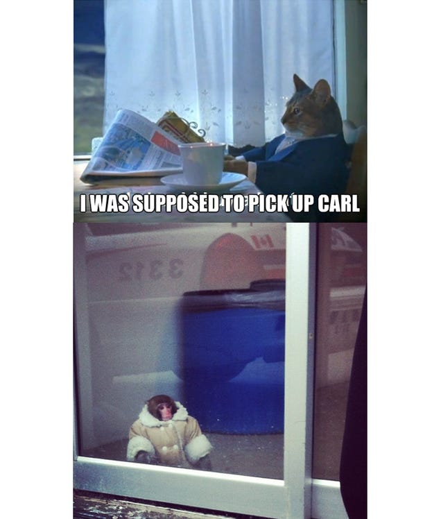 The Best of Ikea Monkey, the Meme