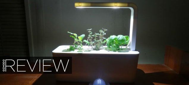 Click and Grow Smart Farm Review: Idiot-Proof Indoor Farming