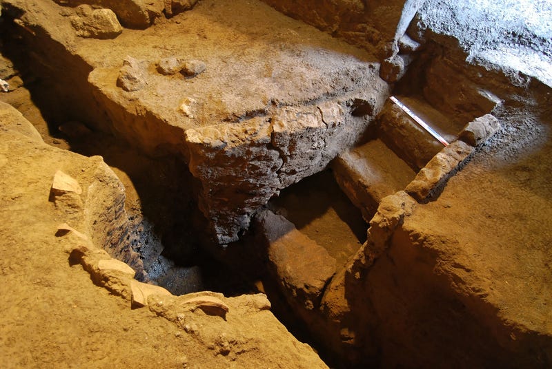 Archaeologists Discover Skeletons in Ancient, Ransacked Pompeii Shop