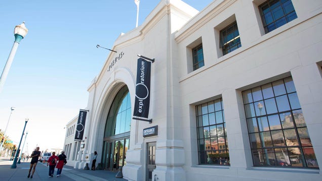 Exploratorium Reborn: Inside San Francisco's New Innovation Shrine