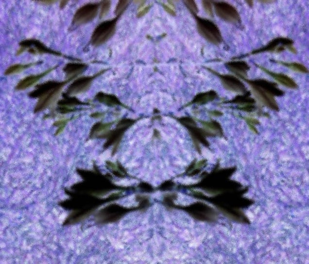 10 Vivid Rorschach Tests, Made By Camera