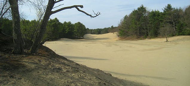 How Forty Acres of Desert Appeared in the Middle of Maine