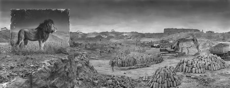 Harrowing Photographs Depict East Africa's Dystopian Future
