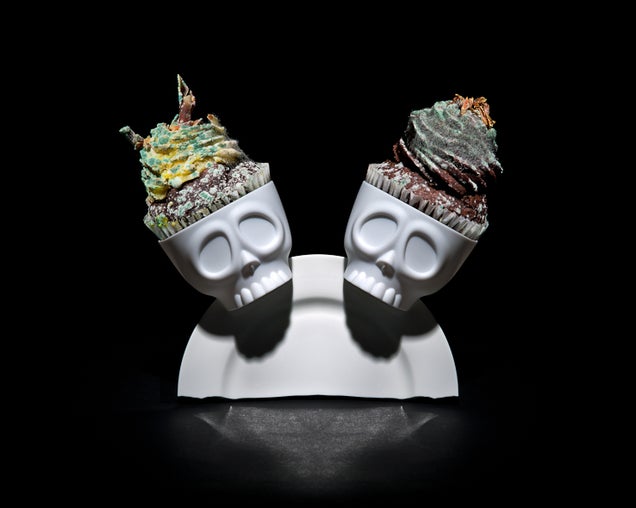 Still-life photos of rotting food are strangely beautiful