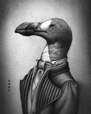 Extinct birds wearing fashions from the year they went extinct