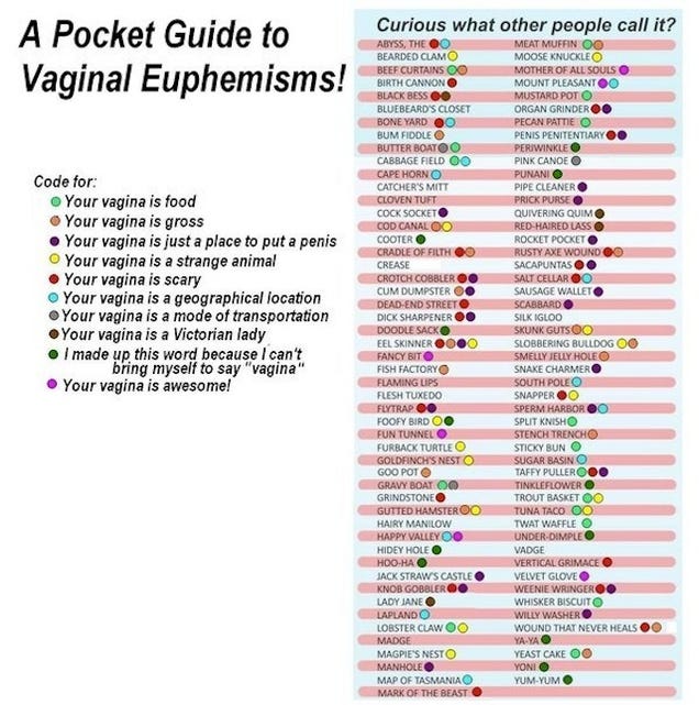 The Pocket Guide To Vaginal Euphemisms Their Meanings