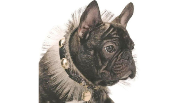 See Vogue Italia's First Black Cover Model In Four Years